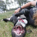 Photo of Stubby