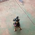 Photo of Minnie