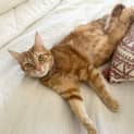 Photo of Libby