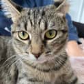 Photo of Neith