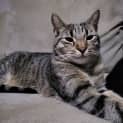 Photo of Patric