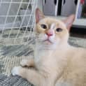 Photo of Casper 