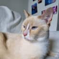 Photo of Casper 