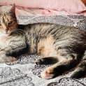 Photo of Lola