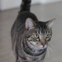 Photo of Oliver 