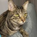 Photo of Oliver 