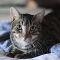 Photo of Oliver 