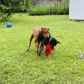 Photo of Ella