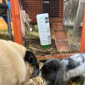 Photo of Theo & Athena