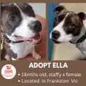Photo of Ella