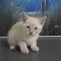 Photo of Truffle