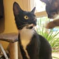 Photo of Sooty
