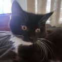 Photo of Jack