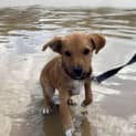 Photo of Sugar