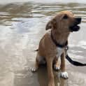Photo of Sugar