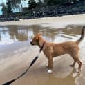 Photo of Sugar