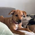 Photo of Sugar