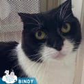 Photo of Bindy