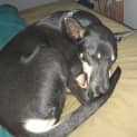 Photo of Blue
