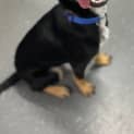 Photo of Zeus