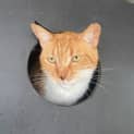 Photo of Todd