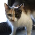 Photo of Trudie