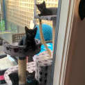 Photo of Cleo