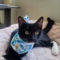 Photo of Betsy