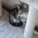 Photo of Leia