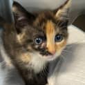 Photo of Spice