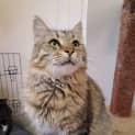 Photo of Bunny