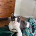 Photo of Nikki   Located In Clifton Hill