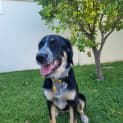Photo of Darla