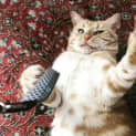 Photo of Vlad