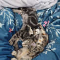 Photo of Cinnamon And Pepper