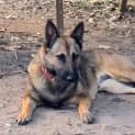 Photo of Moxie