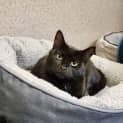 Photo of Fantine