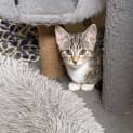 Photo of Mia
