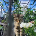 Photo of Emma