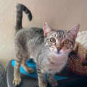 Photo of Hugo