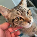 Photo of Hugo