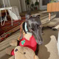 Photo of Cozi