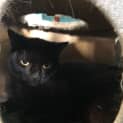 Photo of Sunny