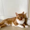 Photo of Todd