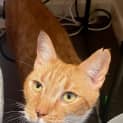 Photo of Todd