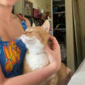 Photo of Todd