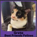 Photo of Greta