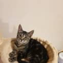 Photo of Harriet