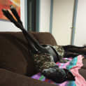 Photo of Luna