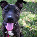 Photo of Owen 35006